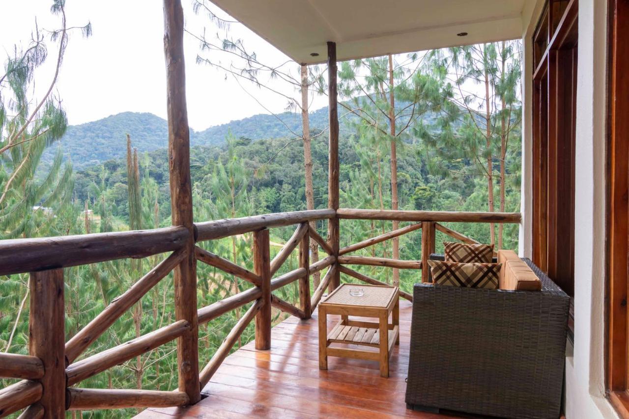 Rushaga Gorilla Lodge Bugambira Bagian luar foto